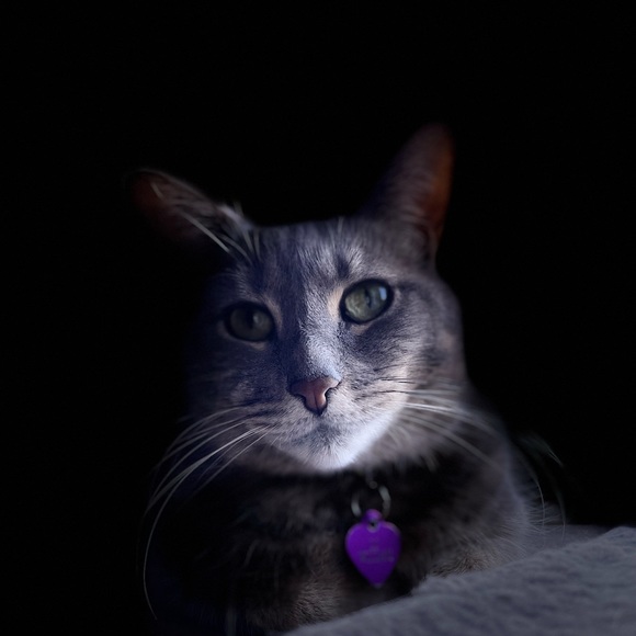 💞Meet your Posher, Celeste Ann💞 - Picture 2 of 12